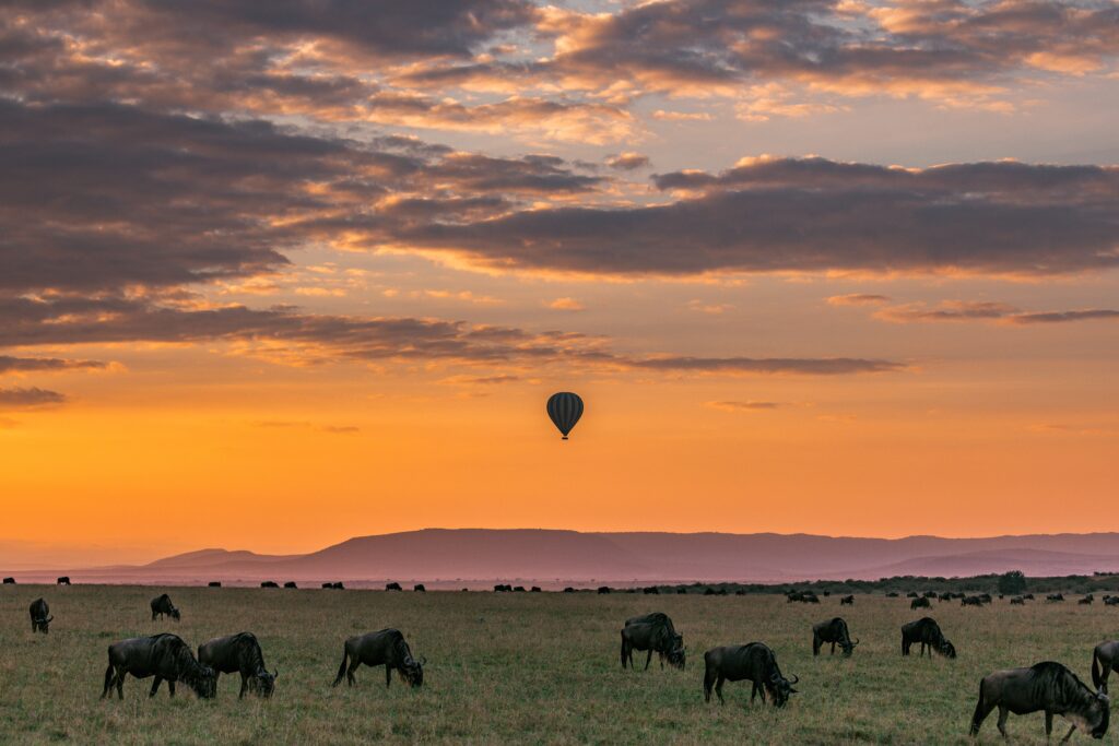 Serengeti National Park, Tanzania-exotic tourist destinations