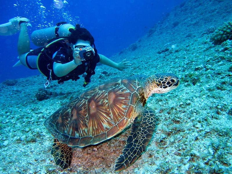 Outdoor Activities in the World
