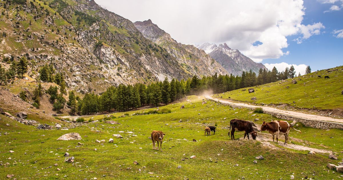 Kalash Valley pakistan