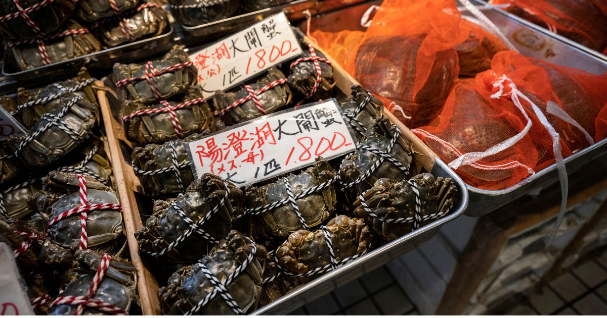 Tsukiji Fish Market-tokyu japan
