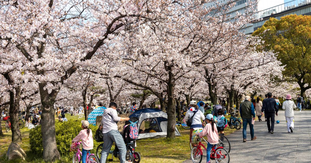 Ueno Park tokyu japan