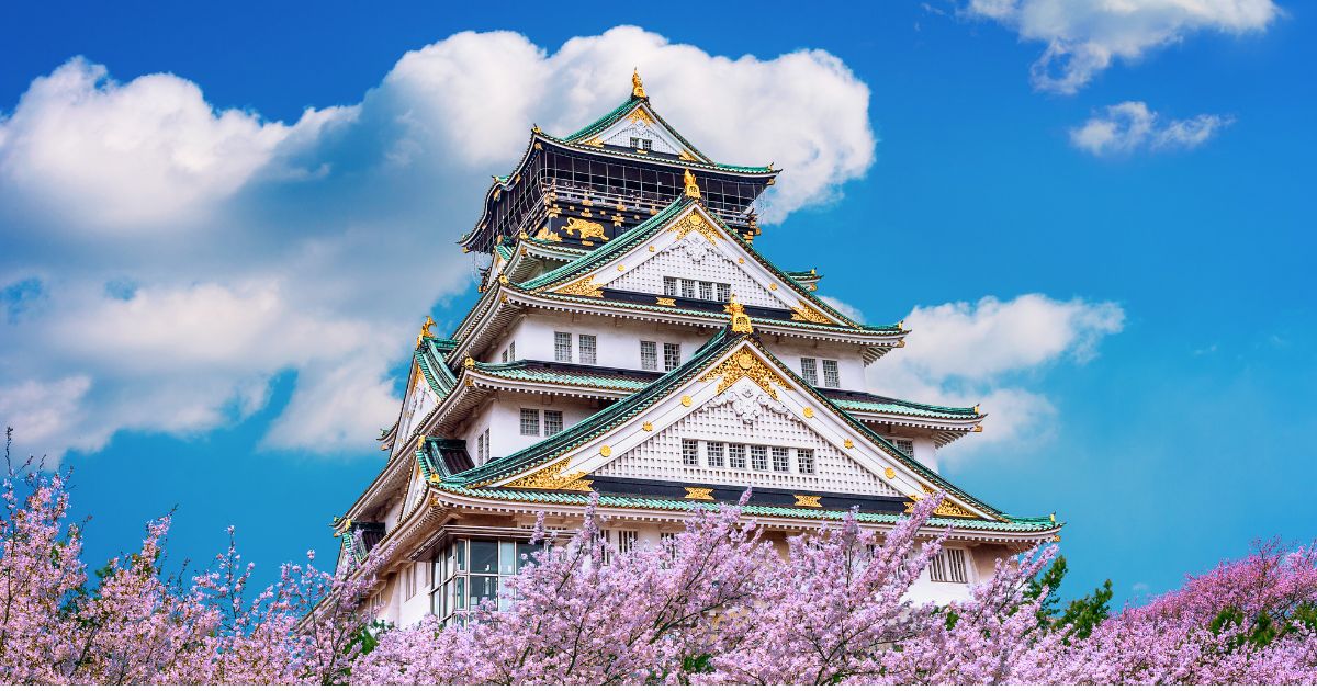 studies in japan