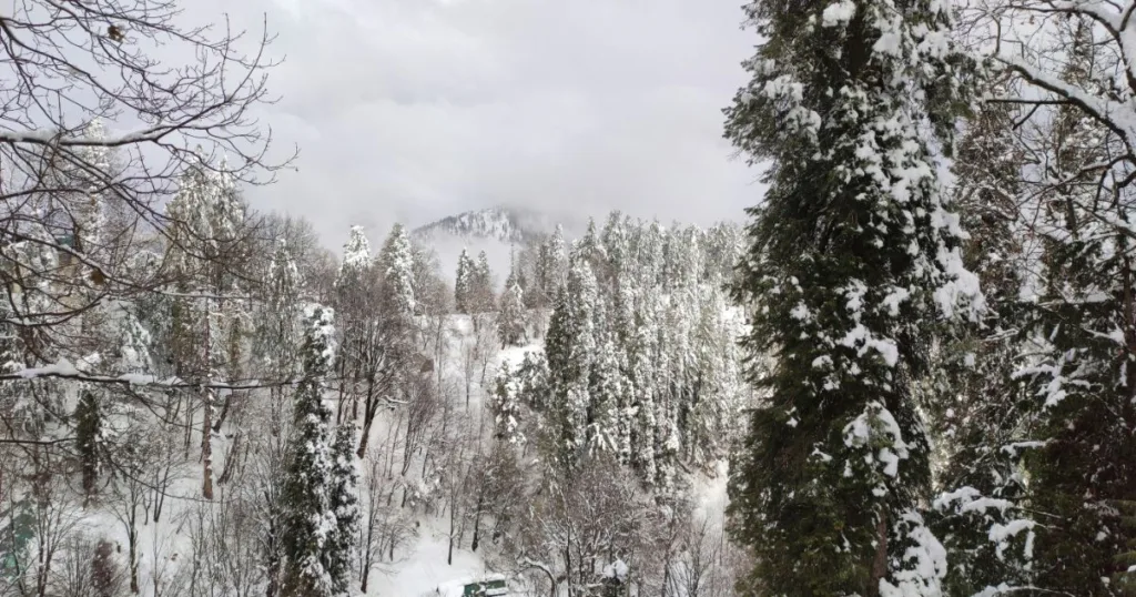 the best places to visit in Nathia Gali Pakistan
