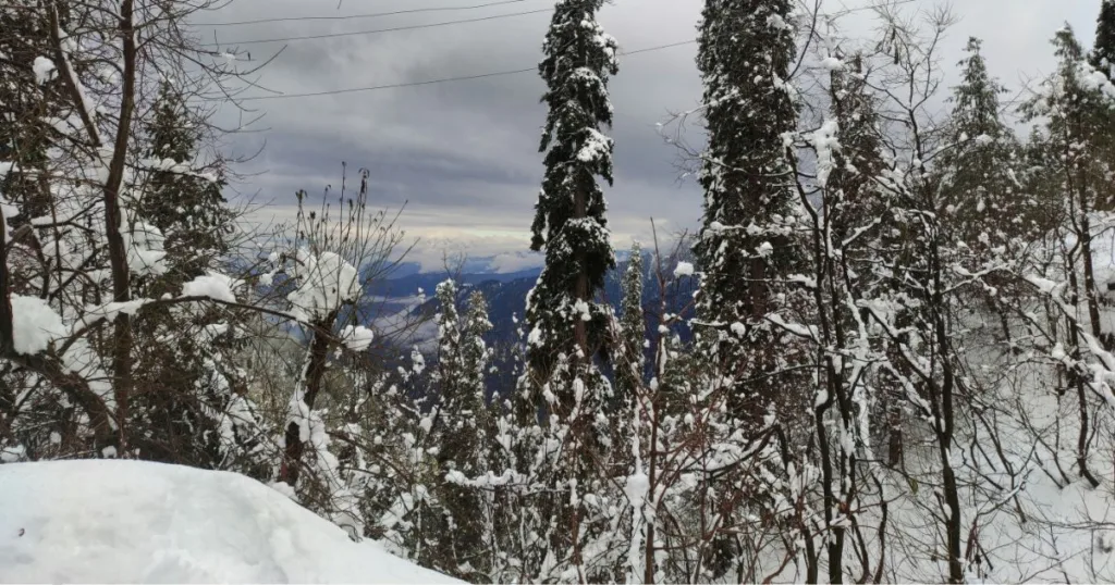 the best places to visit in Nathia Gali Pakistan