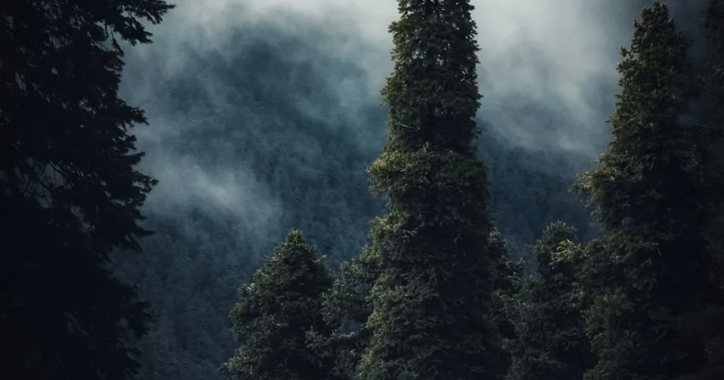 thankdiani-the best places to visit in Nathia Gali Pakistan
