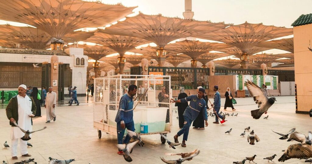 culture of saudia