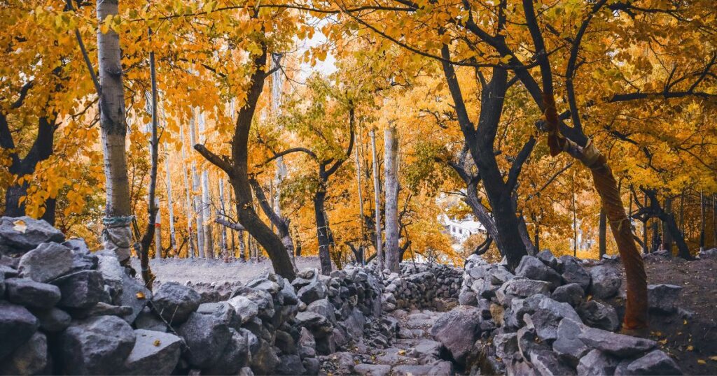 autumn in skardu