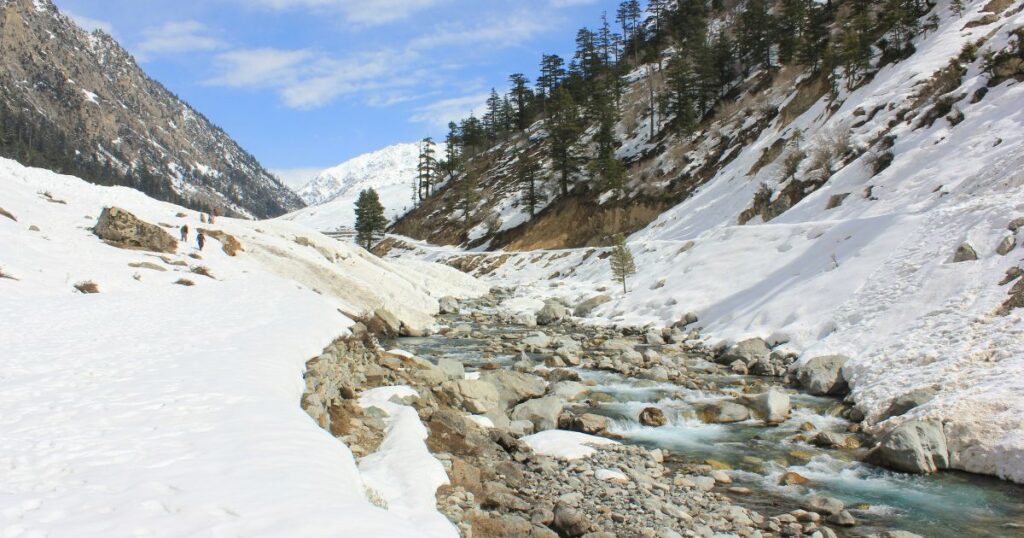 beauty of lake