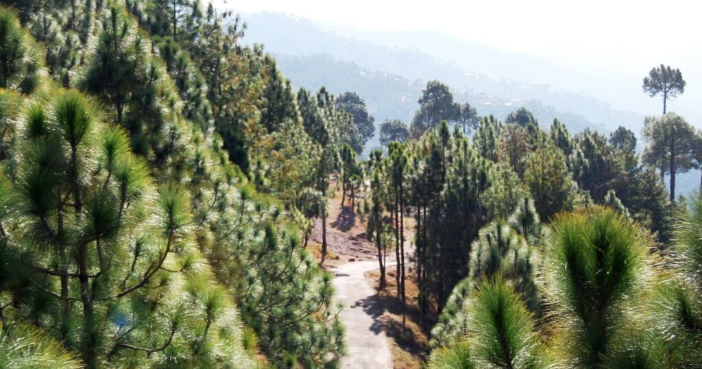 places to visit in murree