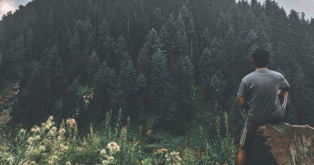 muree hills