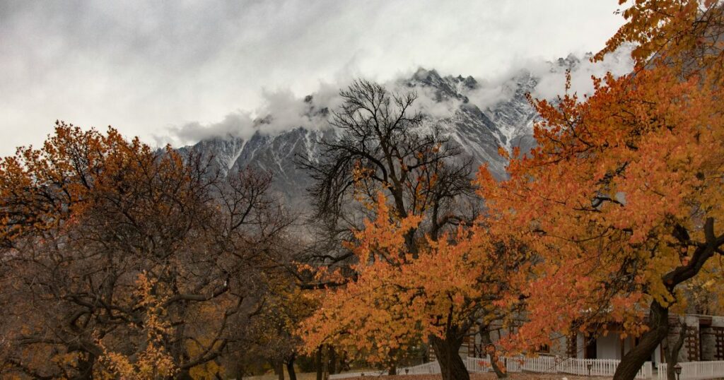 sarena hotel in hunza